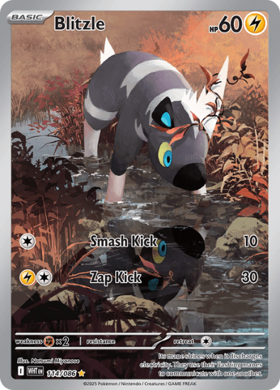 Pokémon trading card featuring Blizzle with attack moves and stats.