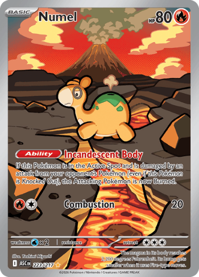 Numel 223/217 - Illustration Rare - Mega Evolution: Ascended Heroes