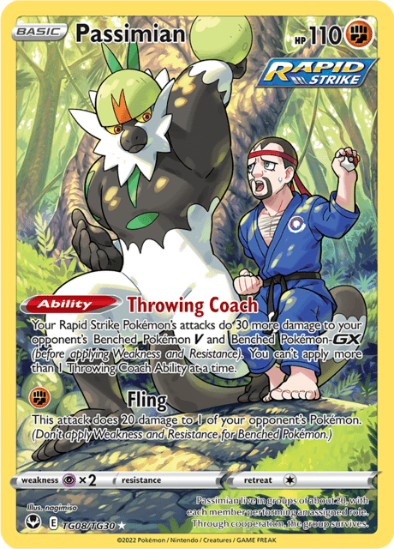 Passimian TG08/TG30 - Trainer Gallery Holo Rare - Silver Tempest