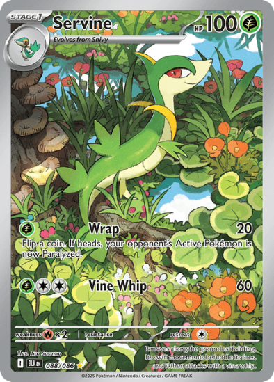 Servine Pokémon trading card with green dragon-like creature on nature-themed background