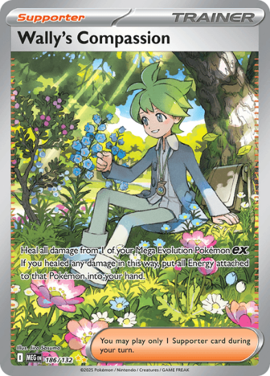 Wally's Compassion 186/132 - Special Illustration Rare - Mega Evolution: Base Set